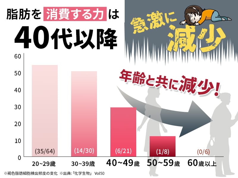 脂肪を消費する力は40代以降急激に減少